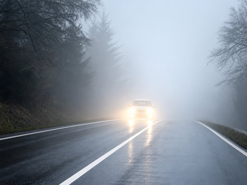 During the day, in dense fog, which lights must you turn on?