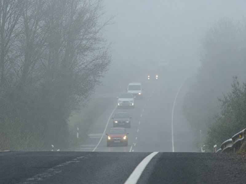 On a day with heavy fog, as shown in the image, which fog lights should you activate if available?